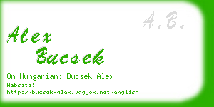 alex bucsek business card